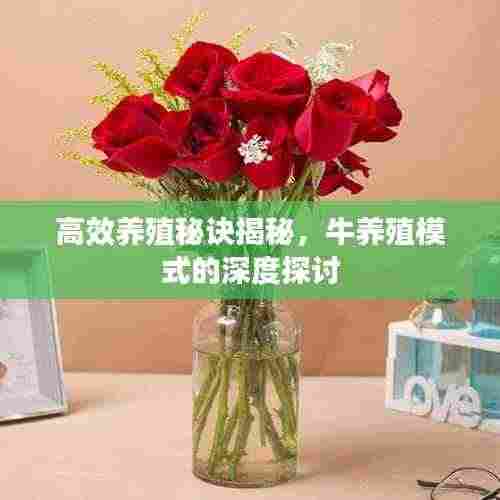 高效养殖秘诀揭秘，牛养殖模式的深度探讨