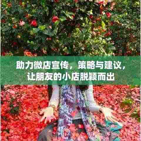 助力微店宣传，策略与建议，让朋友的小店脱颖而出