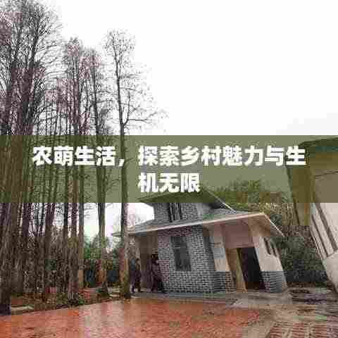 农萌生活，探索乡村魅力与生机无限