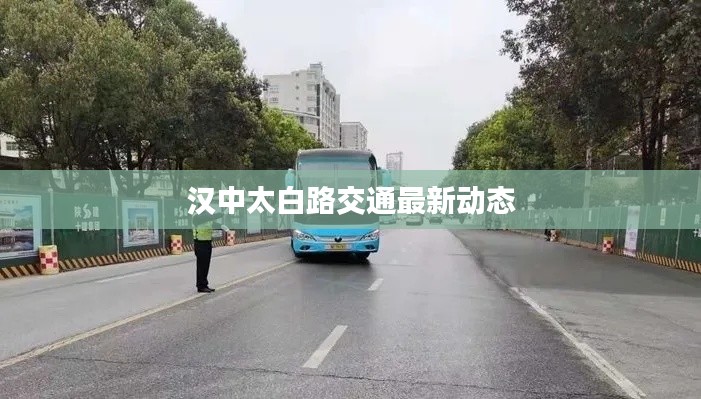 汉中太白路交通最新动态