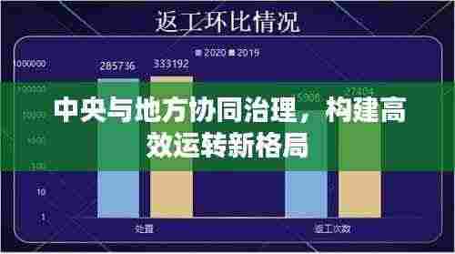 中央与地方协同治理，构建高效运转新格局