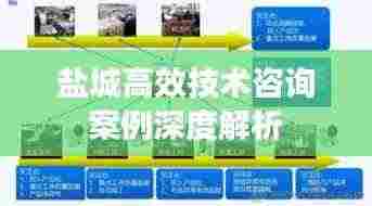 盐城高效技术咨询案例深度解析