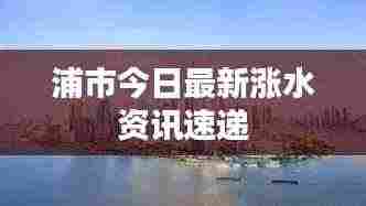 浦市今日最新涨水资讯速递