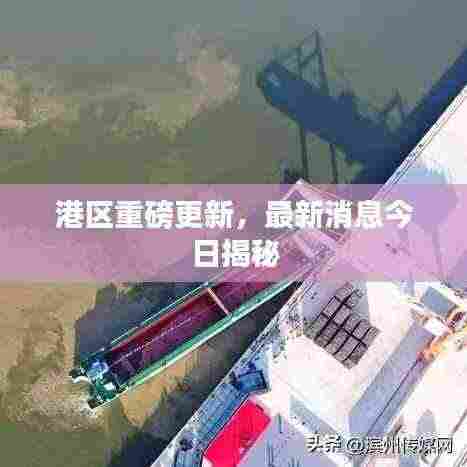 港区重磅更新，最新消息今日揭秘