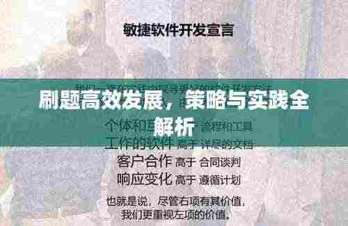 刷题高效发展,策略与实践全解析