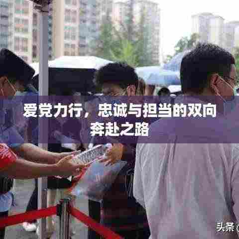 爱党力行，忠诚与担当的双向奔赴之路