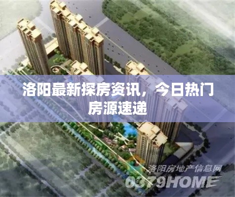 洛阳最新探房资讯，今日热门房源速递