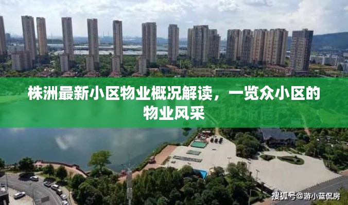 株洲最新小区物业概况解读，一览众小区的物业风采