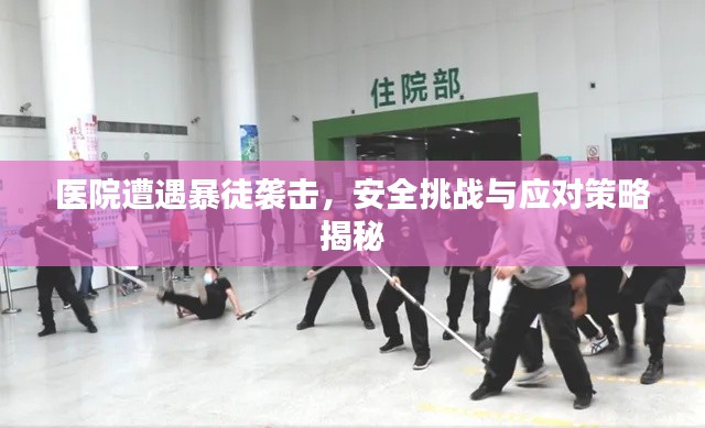 医院遭遇暴徒袭击，安全挑战与应对策略揭秘