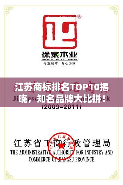 江苏商标排名TOP10揭晓，知名品牌大比拼！
