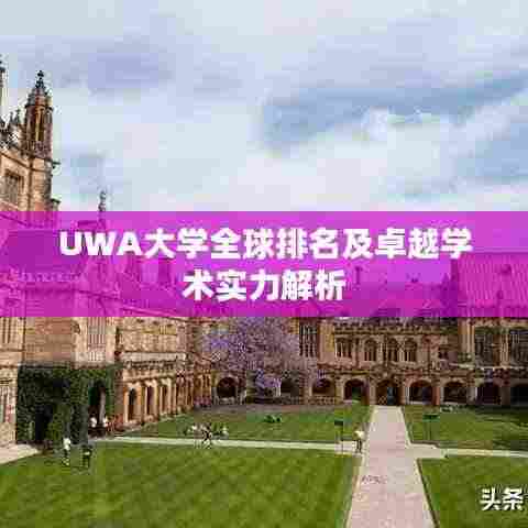 UWA大学全球排名及卓越学术实力解析
