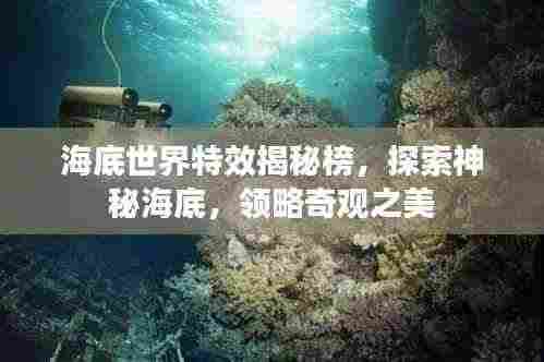 海底世界特效揭秘榜，探索神秘海底，领略奇观之美