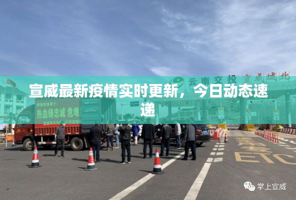宣威最新疫情实时更新，今日动态速递