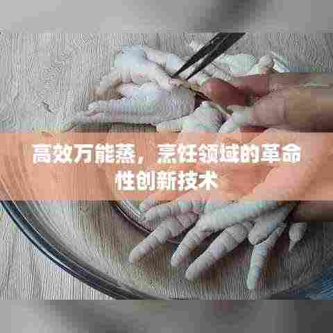 高效万能蒸，烹饪领域的革命性创新技术