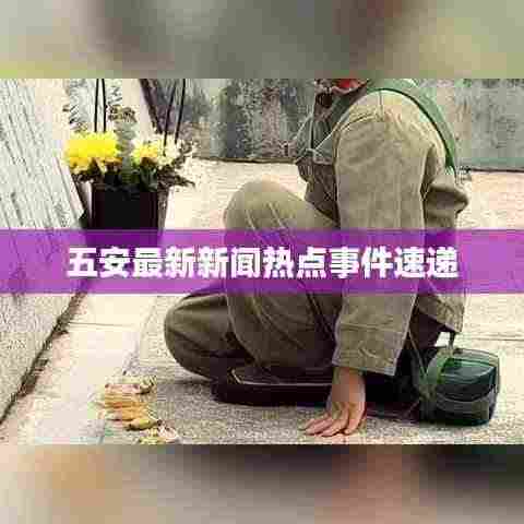 五安最新新闻热点事件速递