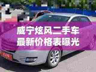 重张旗鼓 第3页