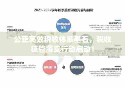 公正高效税收体系基石，税收征管落实行动启动！