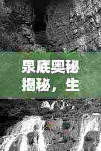 泉底奥秘揭秘，生命之泉涌动不息
