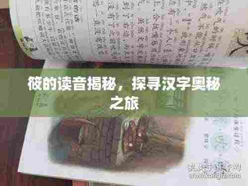 筱的读音揭秘，探寻汉字奥秘之旅