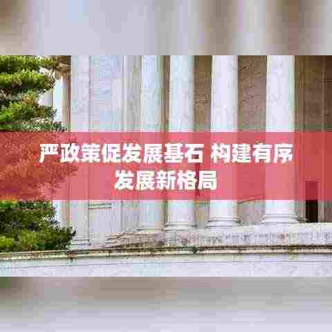 严政策促发展基石 构建有序发展新格局