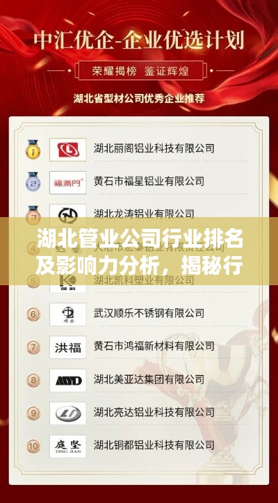 湖北管业公司行业排名及影响力分析，揭秘行业巨头与影响力之巅
