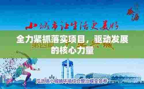 全力紧抓落实项目，驱动发展的核心力量