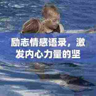 励志情感语录，激发内心力量的坚持与励志视频分享