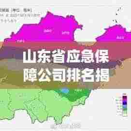 山东省应急保障公司排名揭秘，行业深度分析与洞察
