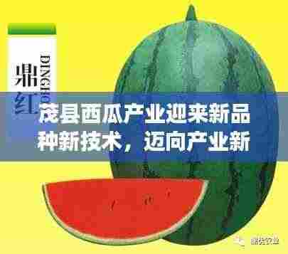 茂县西瓜产业迎来新品种新技术，迈向产业新高度！