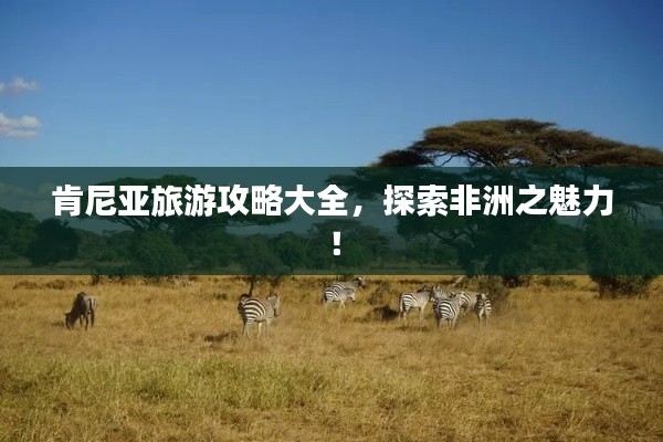 肯尼亚旅游攻略大全，探索非洲之魅力！