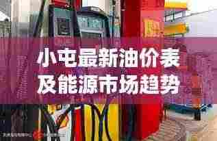 小屯最新油价表及能源市场趋势解析，洞悉油价变动与能源市场动态