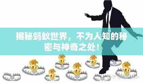 揭秘蚂蚁世界，不为人知的秘密与神奇之处！