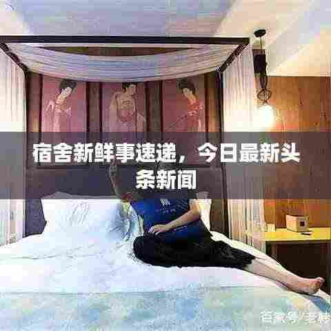 鸟吏鼈官 第3页