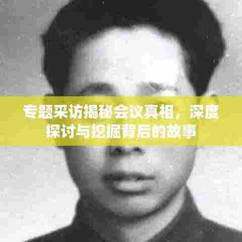 专题采访揭秘会议真相，深度探讨与挖掘背后的故事