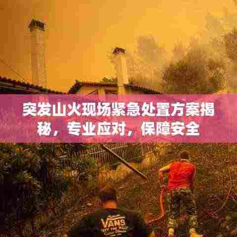 突发山火现场紧急处置方案揭秘，专业应对，保障安全