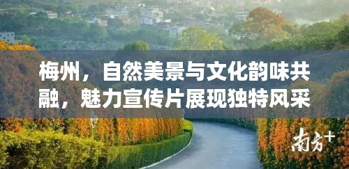 一飞冲天 第3页