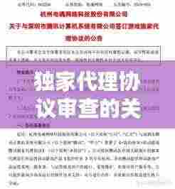 独家代理协议审查的关键环节与流程解析
