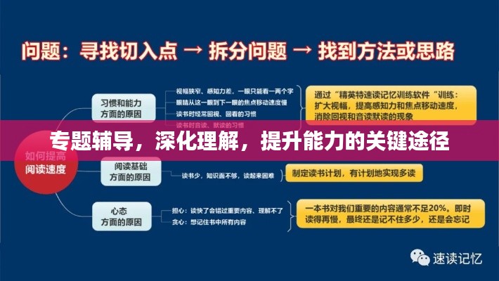 专题辅导，深化理解，提升能力的关键途径