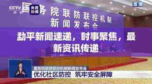 勐平新闻速递，时事聚焦，最新资讯传递
