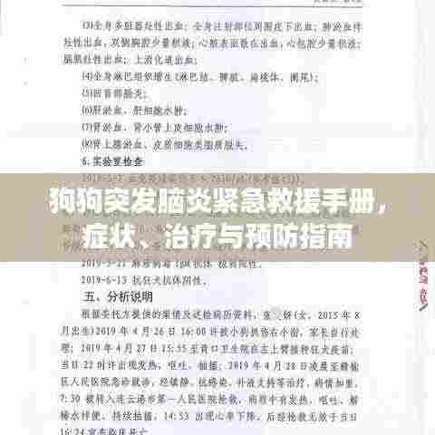 狗狗突发脑炎紧急救援手册，症状、治疗与预防指南