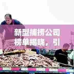 新型捕捞公司榜单揭晓，引领海洋产业的新领军者