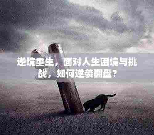 逆境重生，面对人生困境与挑战，如何逆袭翻盘？