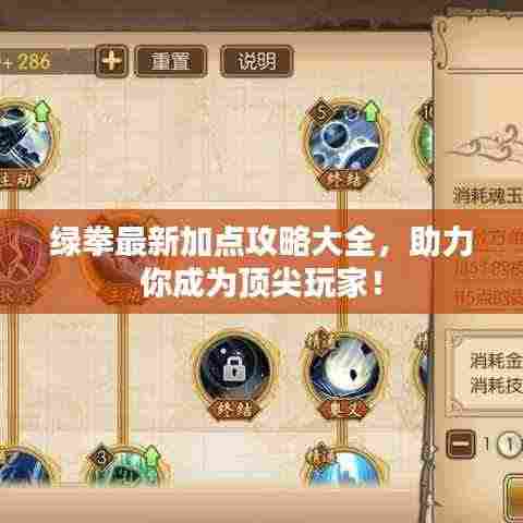 绿拳最新加点攻略大全，助力你成为顶尖玩家！