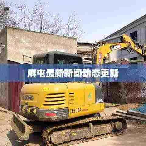 麻屯最新新闻动态更新
