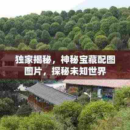 独家揭秘，神秘宝藏配图图片，探秘未知世界