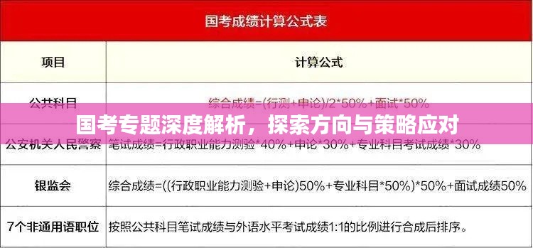 国考专题深度解析，探索方向与策略应对