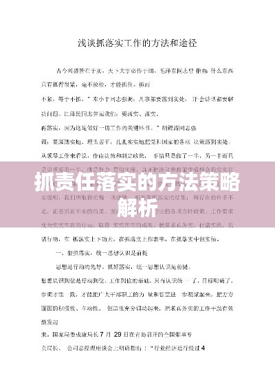 抓责任落实的方法策略解析