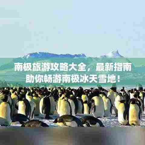 南极旅游攻略大全，最新指南助你畅游南极冰天雪地！