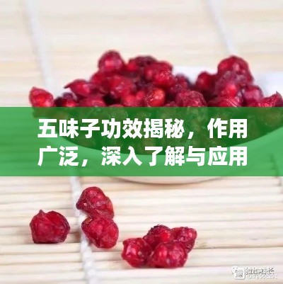 五味子功效揭秘，作用广泛，深入了解与应用指南