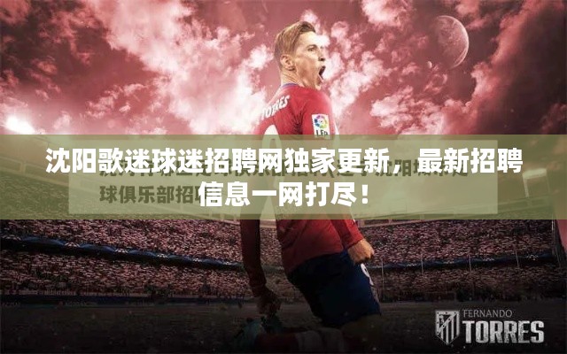沈阳歌迷球迷招聘网独家更新，最新招聘信息一网打尽！